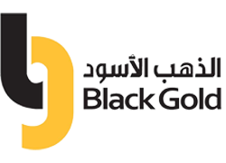 Black Gold Integrated Solution LLC